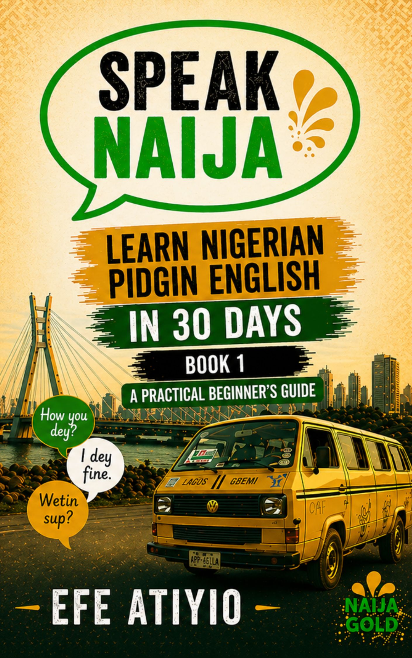Speak Naija Book